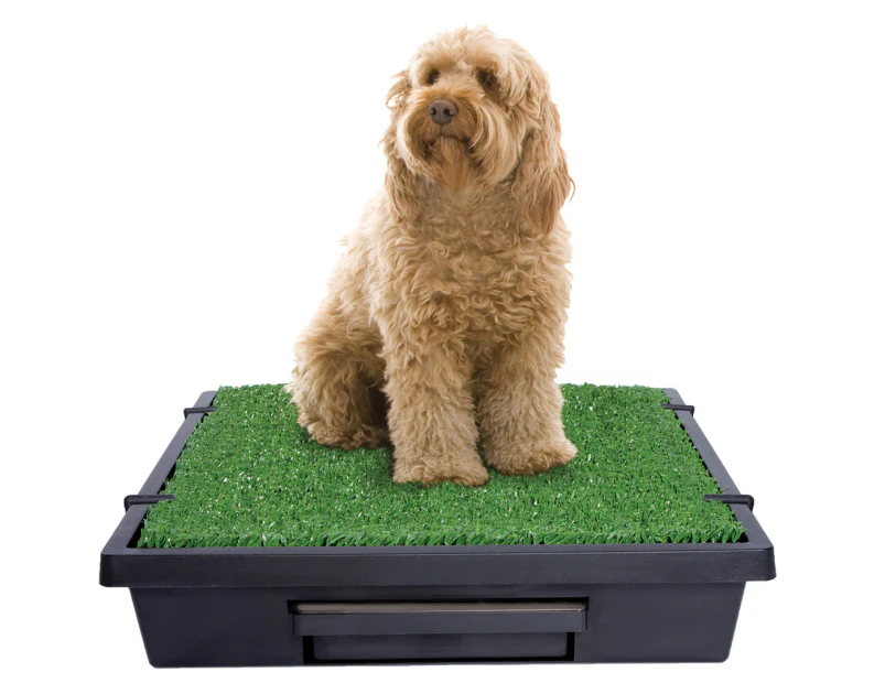 PetSafe Medium Pet Loo & Grass Mat