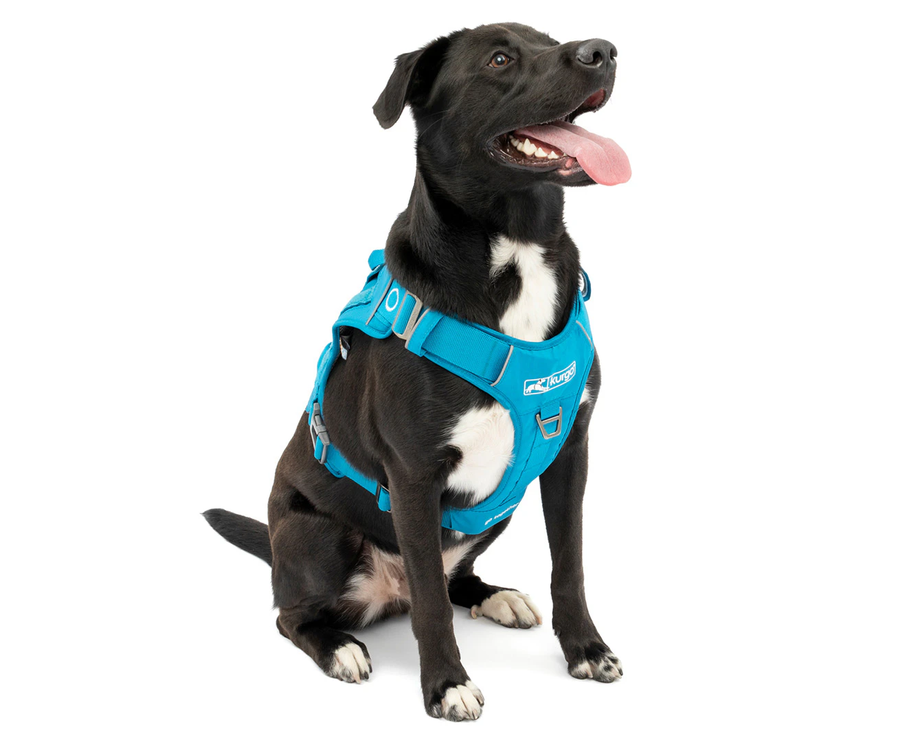 Kurgo Large RSG Dog County Harness - Coastal Blue