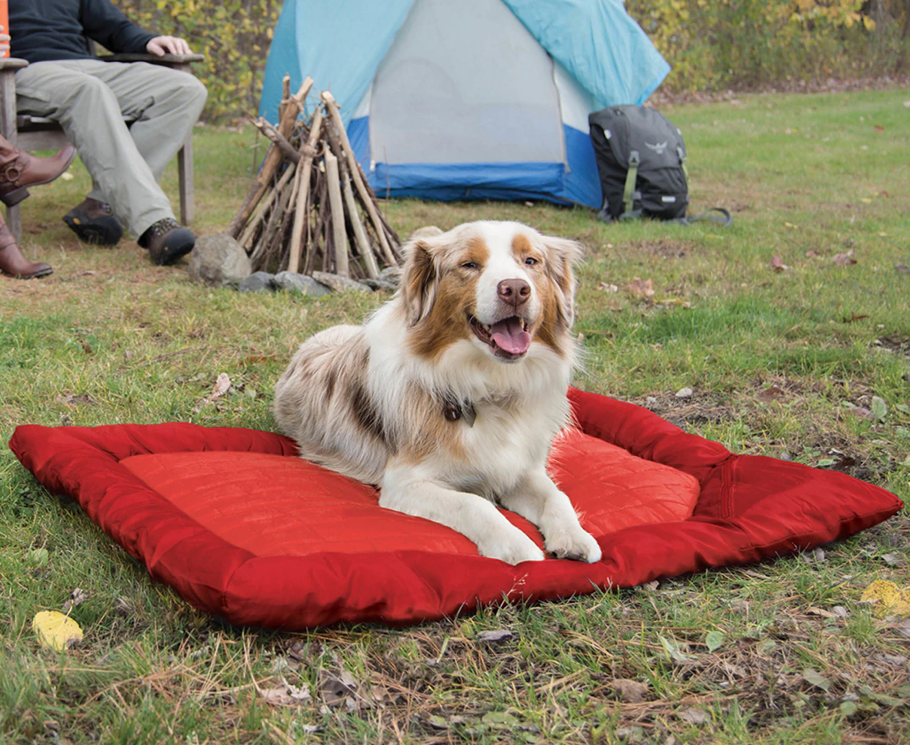 Kurgo Medium Loft Wander Bed - Chili Red