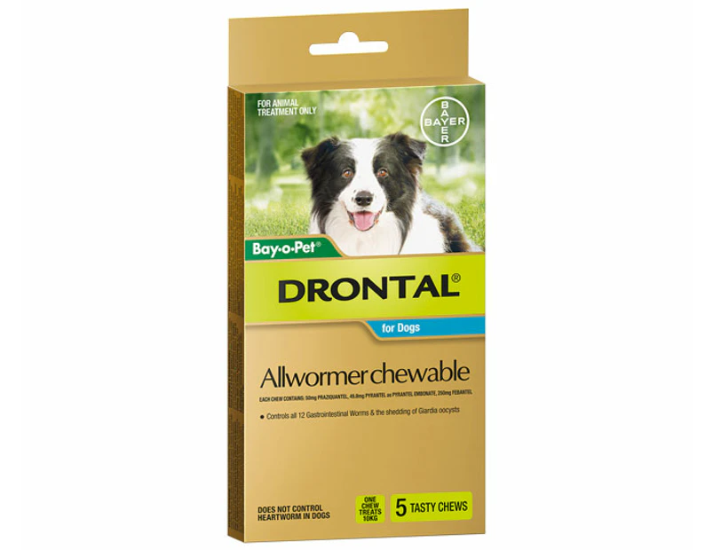 Drontal Allwormer Chews For Dogs 3-10kg 5pk