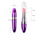 SunnyHouse Lipsticks Shape Vibrator Compact ABS Battery Operated Massage Stick Sex Toys-Purple