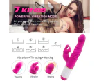 SunnyHouse Rabbit Telescopic Women Masturbator Massage Stick Vibrator Flirting Sex Toy-Rose Red