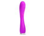 SunnyHouse Silicone USB Magnetic Charging Vibrator G-spot Stimulator Masturbator Sex Toy-Purple