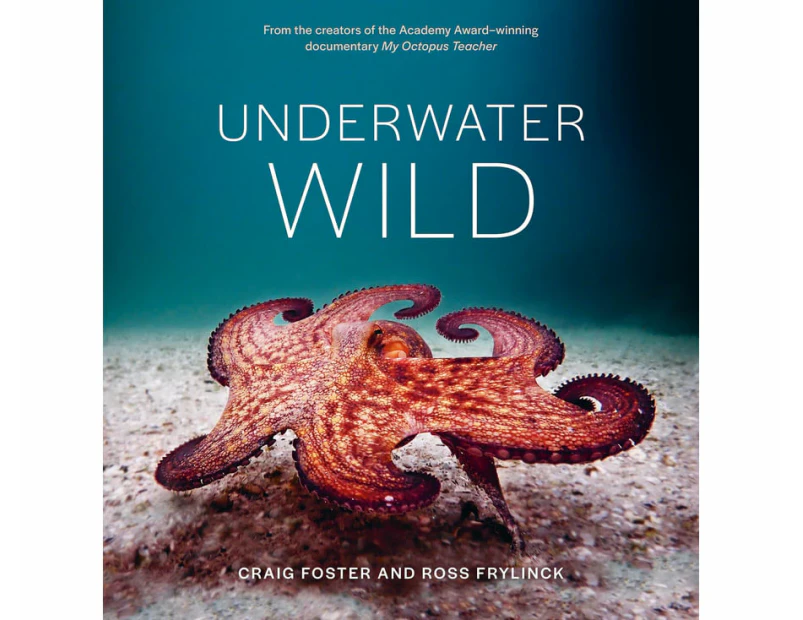 Underwater Wild : My Octopus Teacher's Extraordinary World