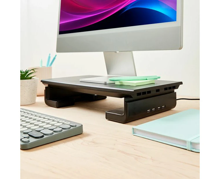 Monitor Stand with USB Hub - Anko