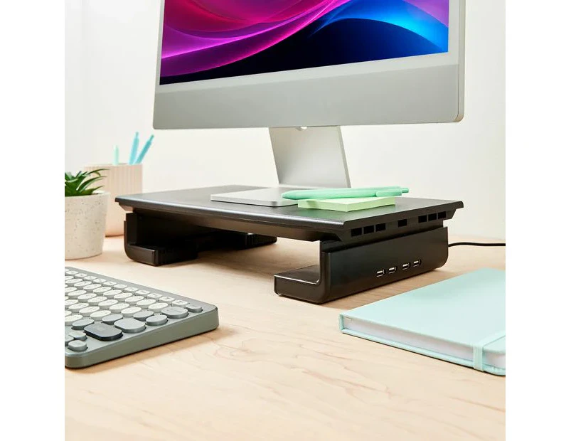 Monitor Stand with USB Hub - Anko