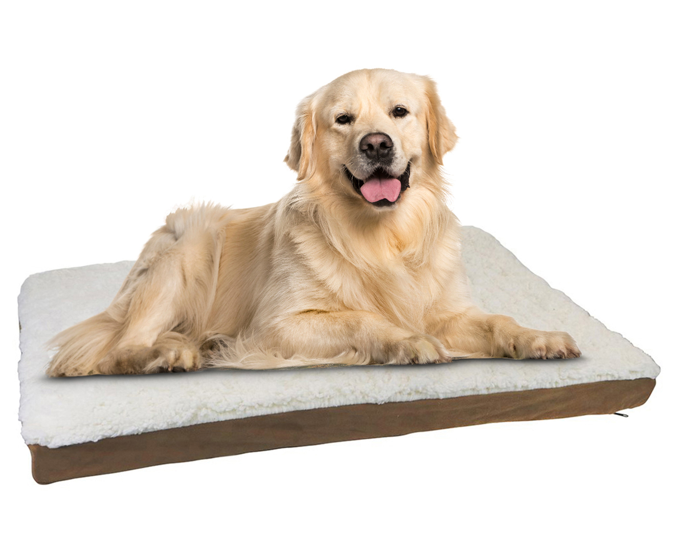 Paws & pals 2025 orthopedic pet bed