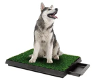Paws & Claws 63x51cm Indoor Training Potty Grass