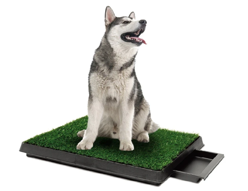 Paws & Claws 63x51cm Indoor Training Potty Grass