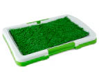 Paws & Claws Toilet Training Tray w/ Grass - White/Green