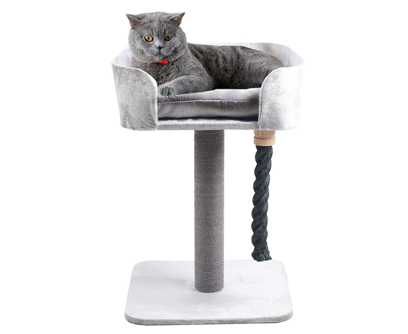 Cat Scratchers Shop Cat Trees Cat pole scratchers and more Catch .nz