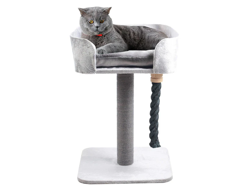 Paws & Claws 60cm Catsby Fitzroy Scratching Post - Light Grey