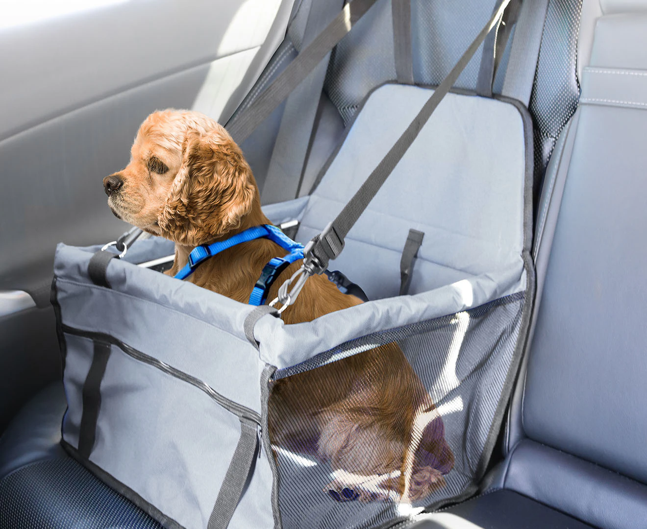 Paws & Claws Pet Car Booster Seat