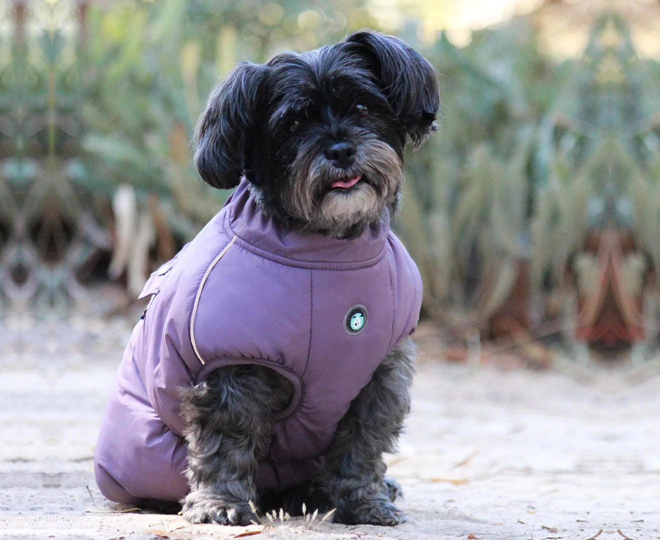 Huskimo 46cm Intermediate Cardrona Dog Coat - Grape