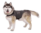 ThunderShirt Insanely Calm Large Dog Jacket - Solid Grey