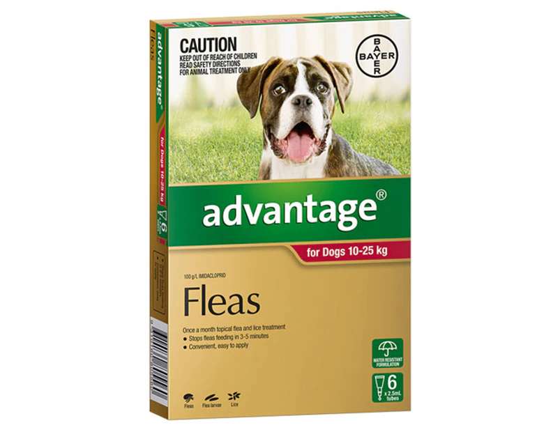 Advantage Flea Treatment For Dogs 10-25kg 6pk