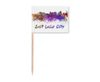 Salt Lake City America City Watercolor Toothpick Flags Marker Topper Party Decoration