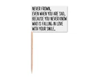 Poetry Never Frown Always Sle Toothpick Flags Marker Topper Party Decoration