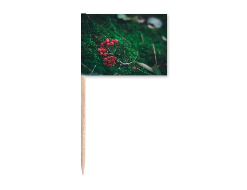 Red Fruit Forestry Science Nature Scenery Toothpick Flags Marker Topper Party Decoration