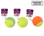 2 x Paws & Claws 10cm Mega Tennis Ball - Randomly Selected
