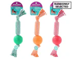 Paws & Claws 37cm Dental Braided Rope & Ball Tugger Dog Toy - Randomly Selected