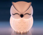 Lil Dreamers Owl Soft Touch LED Light