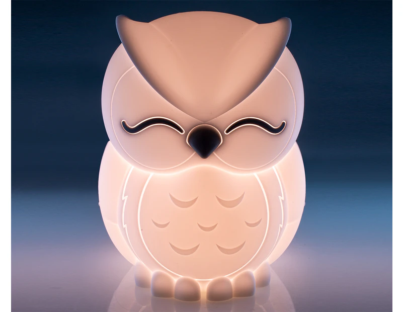 Lil Dreamers Owl Soft Touch LED Light