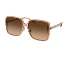 Coach Women's 61mm Transparent Brown Sunglasses