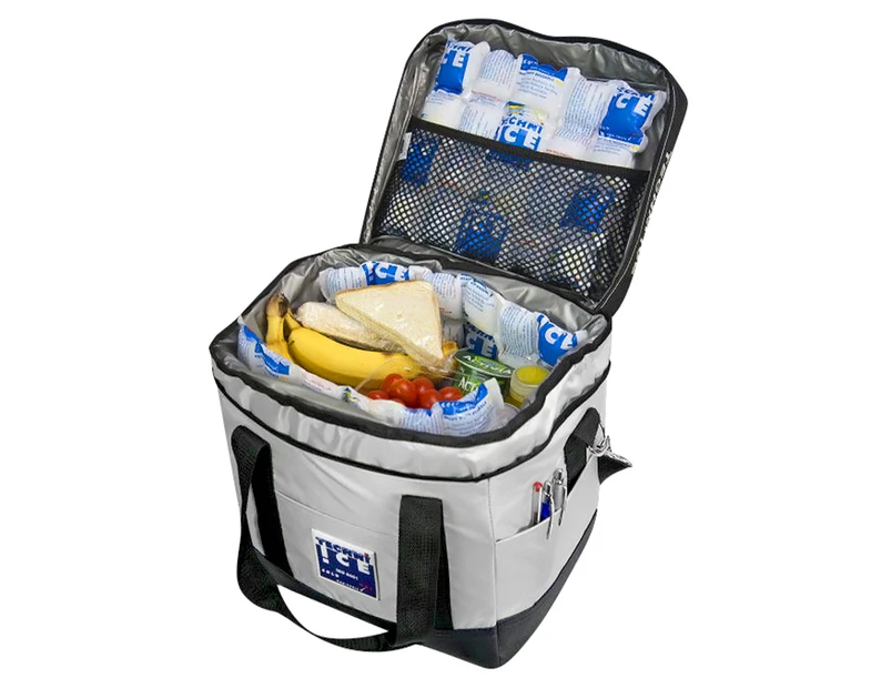 Dry ice 2024 insulated bag