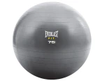 Everlast Core Strength Ball 75cm - Grey