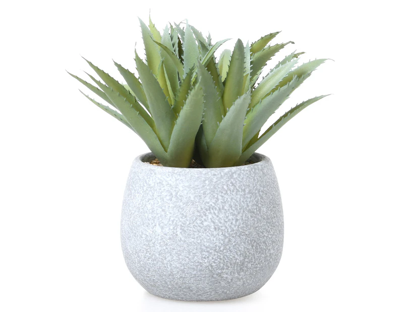 West Avenue Artificial Succulent w/ Planter Pot - Green/Grey