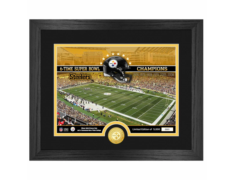 Pittsburgh Steelers NFL Stadium Golden Coin Photo Mint - Multi