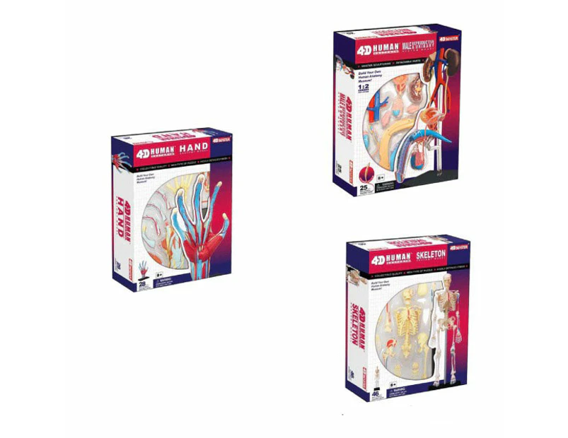 Human Anatomy Multipack - 3 Doctor Kit for Learning