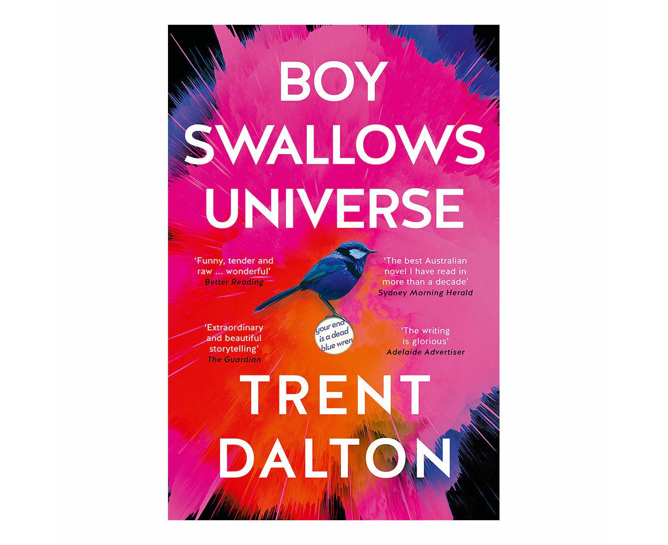 Boy Swallows Universe