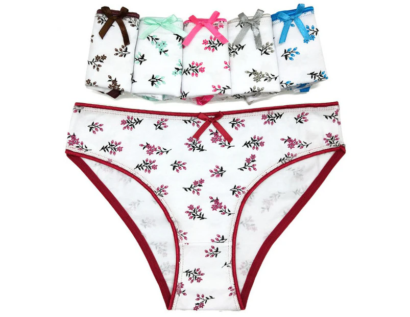 24 X Womens Sheer Spandex / Cotton Briefs - Assorted Underwear Undies 89393 - Multicoloured