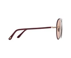 Tom Ford FT1007 69E Shiny Bordeaux / Brown Metal Frame Unisex Designer Sunglasses