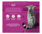 2 x 12pk Whiskas Adult Cat Wet Food Mixed Favourites In Jelly 85g