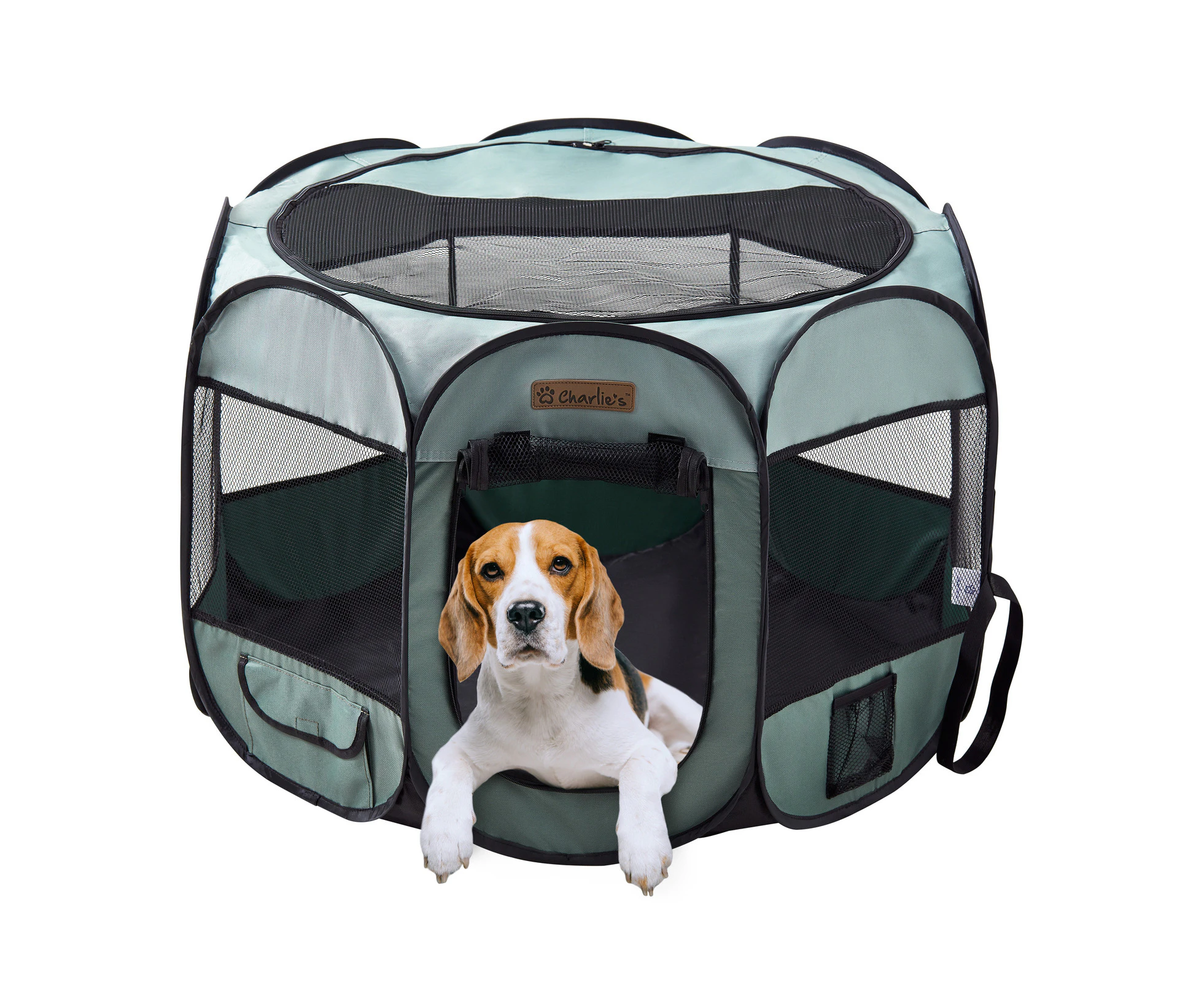 Charlie's Adventure Pet Playpen Foldable Portable Crate Sage