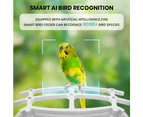 Taily Solar Smart Bird Feeder with Camera Waterproof for Garden Bird Watching