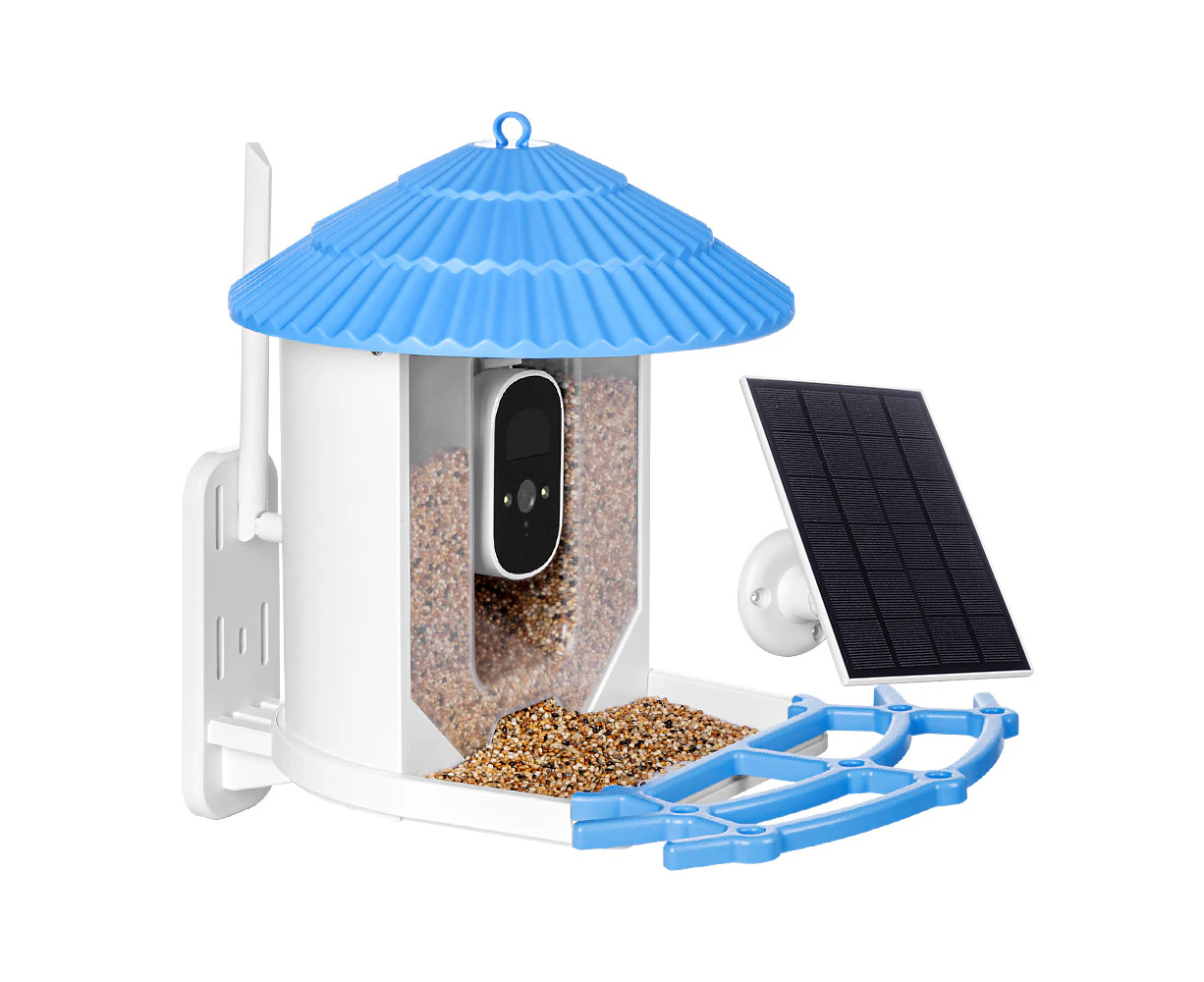 Taily Solar Smart Bird Feeder with Camera Waterproof for Garden Outdoor Bird Watching