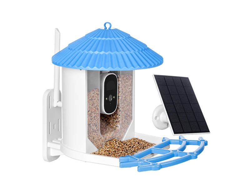 Taily Solar Smart Bird Feeder with Camera Waterproof for Garden Outdoor Bird Watching