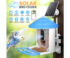 Taily Solar Smart Bird Feeder with Camera Waterproof for Garden Outdoor Bird Watching