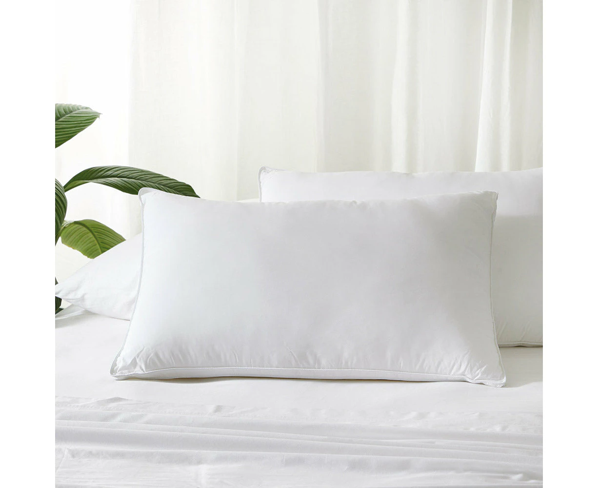 MyHouse - Hotel Collection Hotel Collection Pillow Set of 2 MyHouse