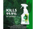 2 x 6pk Dettol Tru Clean Antibacterial Multipurpose Cleaner Crisp Pear 500mL