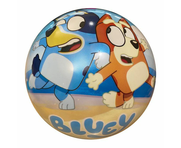 Bluey Vinyl Playball