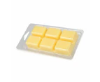 Fragrant Wax Melts, Fruit Gelato - Anko