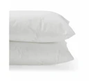 Polyester Pillows, 2 Pack - Anko