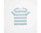 Target Organic Cotton Stripe T-shirt - Blue