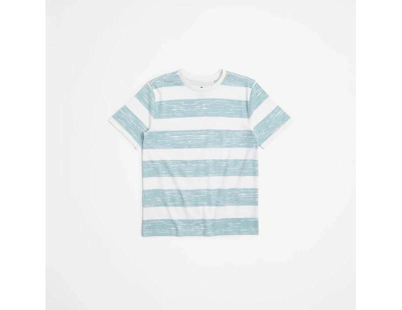 Target Organic Cotton Stripe T-shirt - Blue