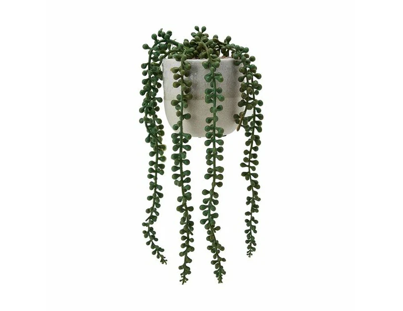 String of Pearls Plant Pot  - Anko